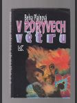 V poryvech větru - náhled