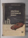 Amatérské elektronické modely - náhled