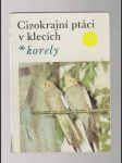 Cizokrajní ptáci v klecích / korely - náhled