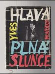 Hlava plná slunce - náhled