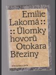 Úlomky hovorů Otokara Břežiny - náhled