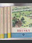 Brusky 1.2.3.4. díl - náhled