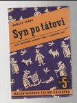 Syn po tátovi - veselá dobrodružství podařeného tatíka a nevydařeného syna - náhled