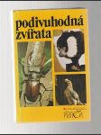 Podivuhodná zvířata - náhled