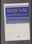 Slovník amerikanismů - náhled