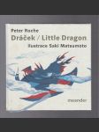 Dráček / Little Dragon - náhled