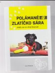 Polámané zlatíčko Sára aneb za co stojí bojovat - náhled