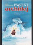 Pavoučí orchidej - náhled