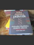 Výklad právnických pojmů: Velký domácí právník - náhled