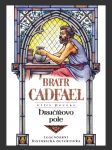 Bratr Cadfael: Hrnčířovo pole (Potter’s Field) - náhled