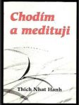 Chodím a medituji - náhled