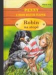 Robin na stope - náhled