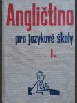 Angličtina pro jazykové školy 1. - náhled