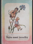 Vojta mezi broučky - náhled