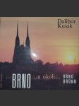 Brno a okolí - náhled