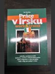 Práce v Irsku - náhled