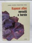 Kapesní atlas nerostů a hornin - náhled