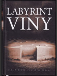 Labyrint viny - náhled