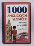 Víc než 1000 anglických slovíček - První pomoc (nejen) pro začátečníky - náhled