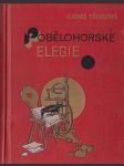 Pobělohorské elegie - náhled