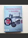 Čechoslováci v Gulagu II.  - náhled