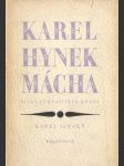 Karel Hynek Mácha: život uchvatitele krásy - náhled