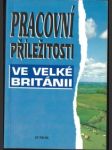 Pracovní příležitosti ve velké británii - náhled