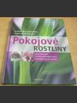 Pokojové rostliny - náhled