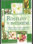 Rostliny v interiéru - náhled