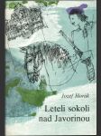 Leteli sokoli nad Javorinou - náhled