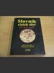 Slovník cizích slov pro nové století. Základní měnové jednotky. Abecední seznam chemických prvků. Jazykovědné pojmy. 30 000 hesel - náhled