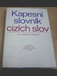 Kapesní slovník cizích slov - náhled