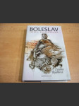Boleslav - příběh bratrovraha - náhled