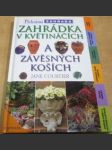 Zahrádka v květináčích a závěsných koších - náhled