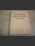 Stručná mluvnice česká - náhled