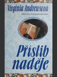 Příslib naděje - náhled