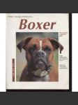 Boxer (pes, psi) - náhled