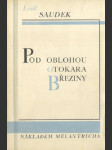 Pod oblohou Otokara Březiny - náhled