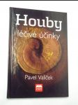 Houby a jejich léčivé účinky - náhled