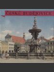 České Budějovice (edice Památky - Městská památková rezervace ) - náhled