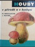 Houby v přírodě a v kuchyni - náhled