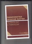 Paradigmatika spisovné ruštiny. Hláskosloví a tvarosloví - náhled