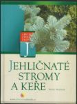 Jehličnaté stromy a keře - náhled