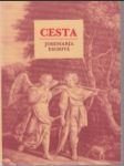 Cesta - náhled