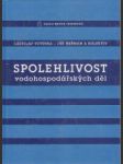 Spolehlivost vodohospodářských děl - náhled