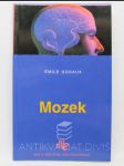 Mozek - náhled