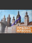 Hradec králové - náhled