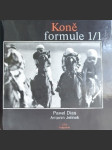 Koně formule 1/1 - náhled