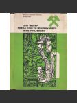 Těžba cínu ve Slavkovském lese v 16. století [hutnictví, kovy, Krásno a Horní Slavkov, Slavkovský les] - náhled