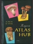 Kapesní atlas hub - náhled